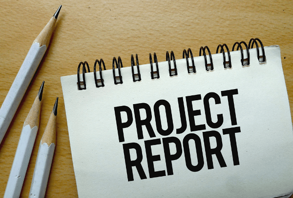 Creating an Effective Project Report for bank loan