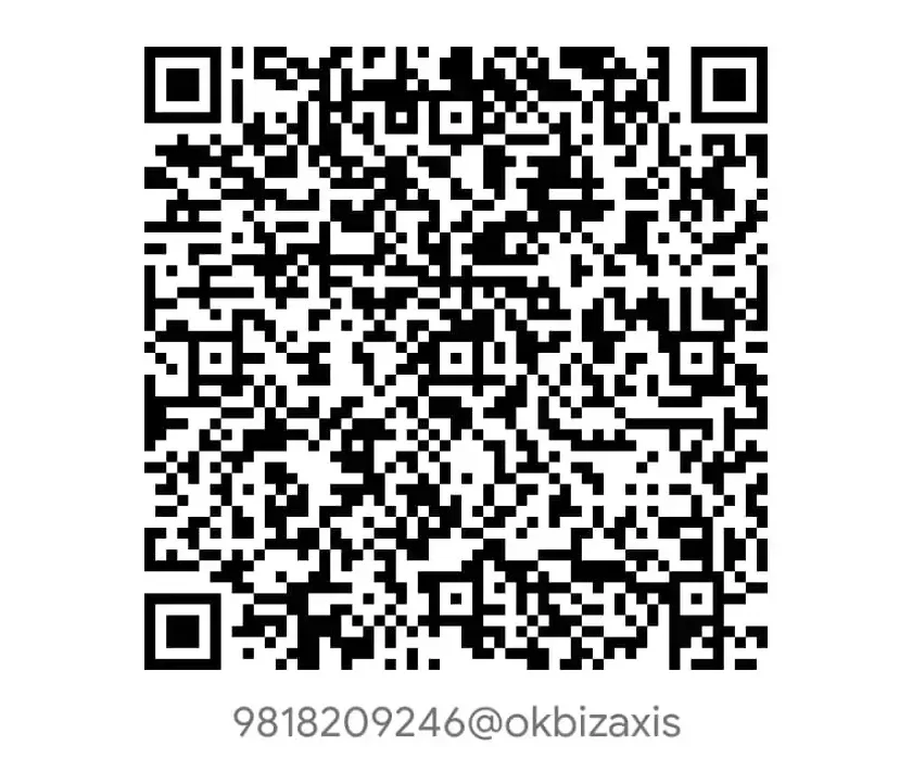 Payment page - setupfiling.in google pay